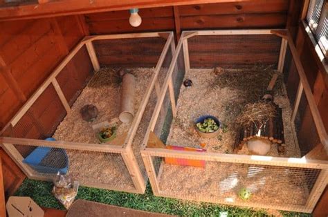 23 Epic Homemade Diy Guinea Pig Cage Designs To Build