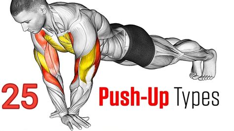 Push Ups Variation Workout Animation Tricepsworkout Youtube