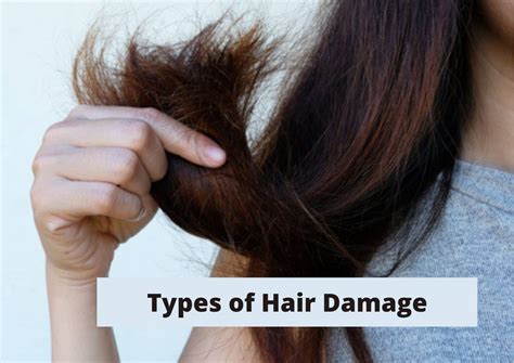 Types Of Damaged Hair