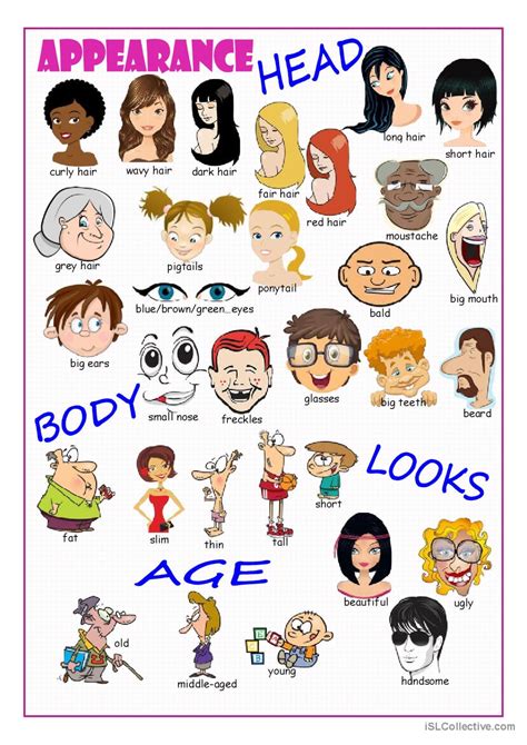 Appearance Picture Dictionary Pictio English Esl Worksheets Pdf And Doc