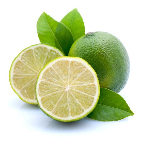 Fresh Limes Stock Image Image Of Limes Blossom Green 30884289