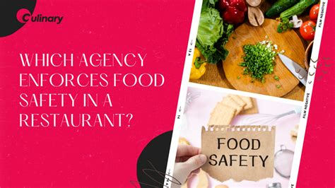 Which Agency Enforces Food Safety In A Restaurant Safe Food Handling