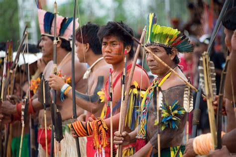 Brazil Court Favours Indigenous Groups In Land Dispute Amazon Tattoo