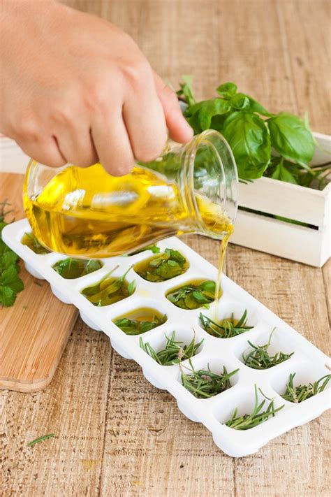 Maybe you would like to learn more about one of these? Freezing Herbs for Long Lasting Flavor | Freezing Basil