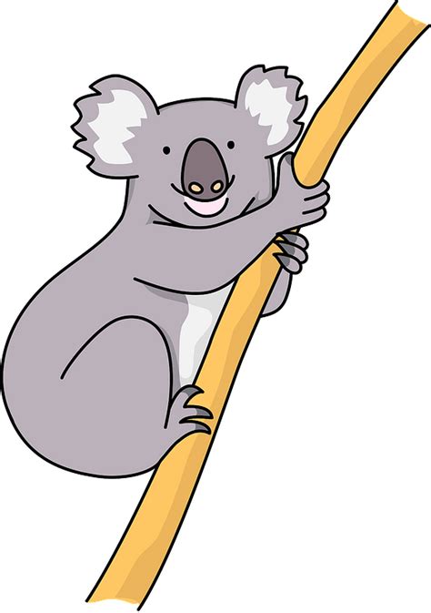 Koala Animal Clipart Free Download Transparent Png Creazilla