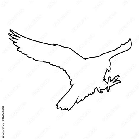 Falcon Silhouette On White Background Isolated Vector Animal Template
