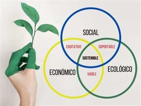 19 Los Tres Ambitos De La Sustentabilidad Ecologico Economico Y Social