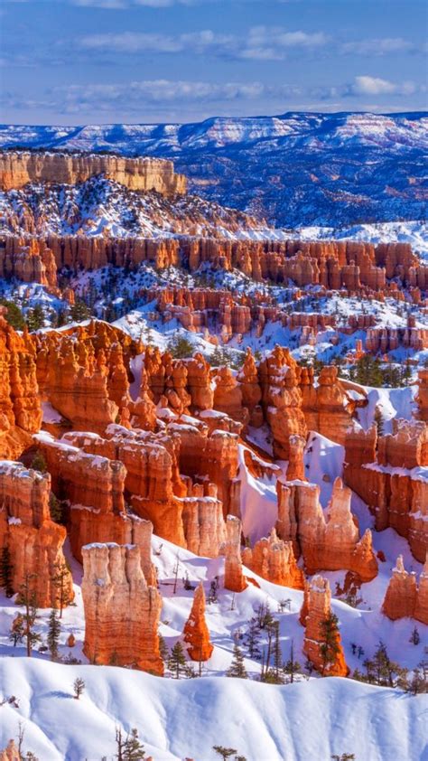 Hoodoos In Winter Bryce Canyon National Park Utah USA Windows