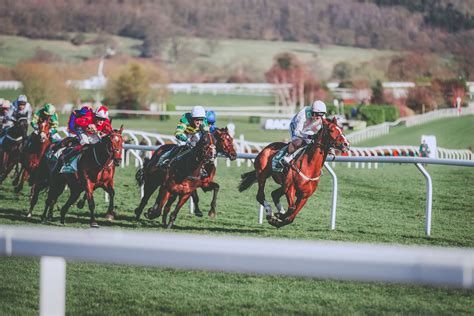 David w robinson is a freelance writer, a memoirist by an avocation, and a big data management and analysis consultant by profession. Cheltenham Race Week 2021 - Robinson David