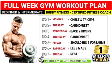 Full Week Gym Workout Plan For Muscle Gain Beginners Intermediate HealthyEternal
