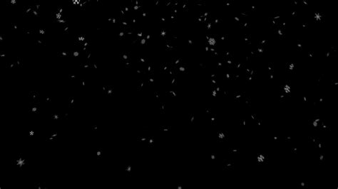 Find the best free stock images about black background. Stock Snowfall Black Background - YouTube