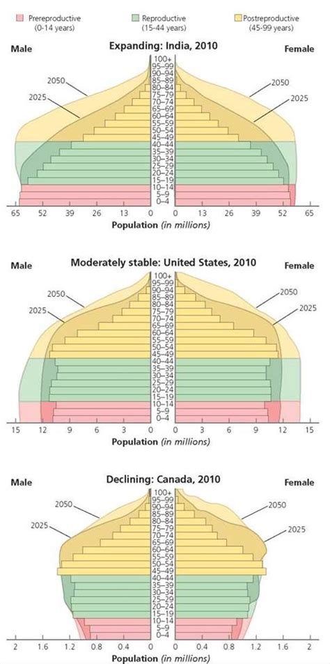 Wiring diagram definition in english dictionary, wiring diagram meaning, synonyms, see also 'whirling',wing',withering',writing'. Wiring Diagram: 31 Age Structure Diagram Definition Biology