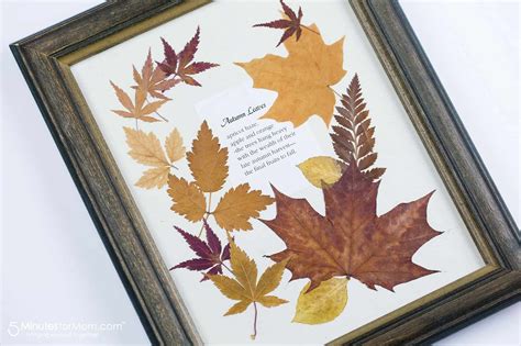 Pressed Flowers And Leaves Craft Ideas For Kids 5 Minutes For Mom