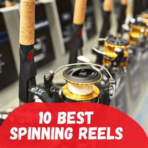 Best Spinning Reels On Reviewed Tetra Hook
