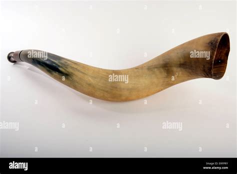 Animal Horn Instrument Belajar Ipa Bersama