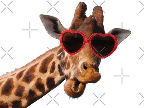 Cool Giraffe Wearing Sunglasses Fun Humour Comedy Canvas Prints