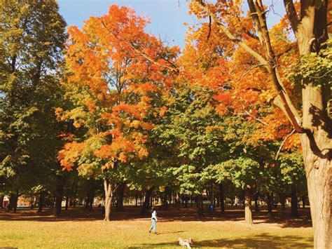 8 Best Places To See Fall Colours In Toronto