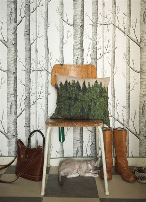 Cole And Sons Birch Tree Wallpaper Wallpapersafari