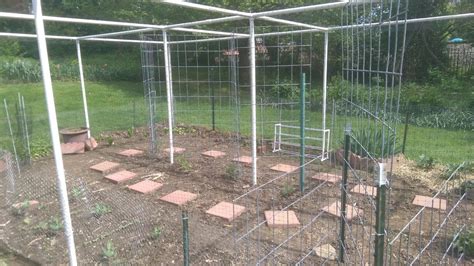 Check spelling or type a new query. Garden Totally Enclosed by PVC, Chicken Wire, Bird Netting ...