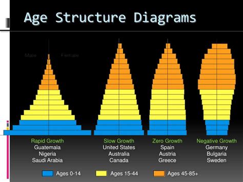 Ppt Age Structure Diagrams Powerpoint Presentation Free Download Id5550126