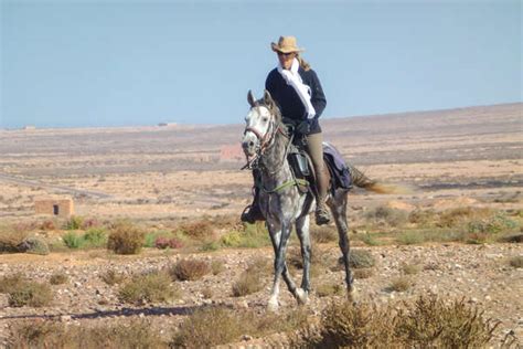 enjoy  riding holiday   ranch  southern morocco equus journeys