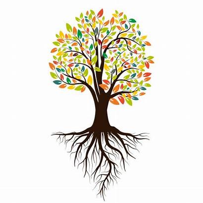 Roots Tree Silhouette Leaves Colored Autumn Illustration
