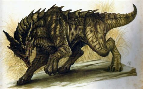 Common Drake From Dracopedia Drawing Book By William Oconnor