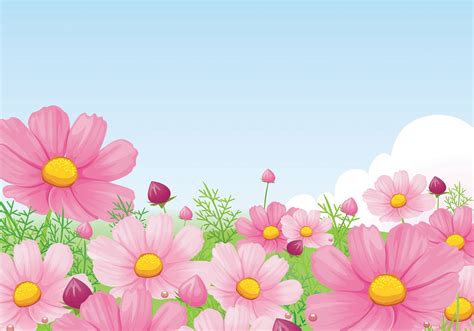 Daisy Spring Wallpapers Wallpaper Cave