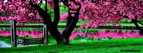 Check spelling or type a new query. Pin by ♔ A L I C I A ♔ on fb covers | Beautiful gardens ...