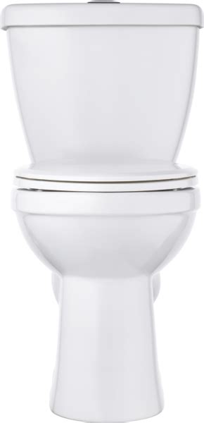 Foundations Dual Flush Elongated Toilet C43913d Wh Delta Faucet