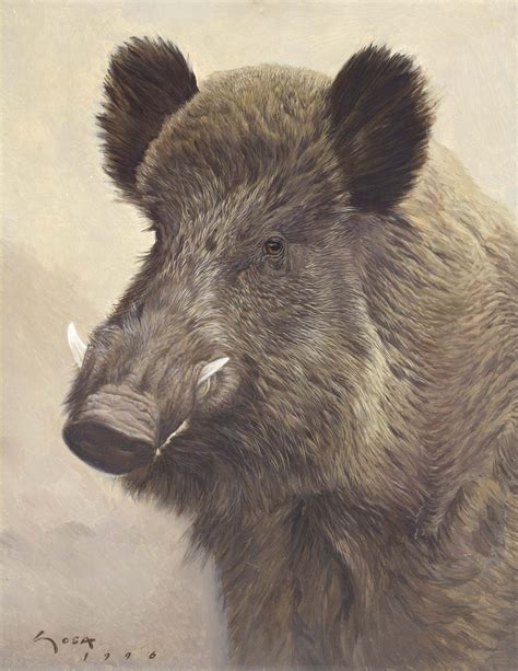 Gentle Guy Wild Boar Animal Paintings Wildlife Art