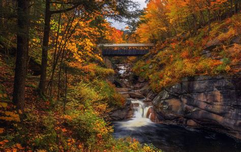 Flume Gorge Mount Liberty In Franconia Notch State Park New