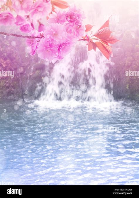 Sakura Blossom On The Blurred Waterfall Background Springtime Cherry