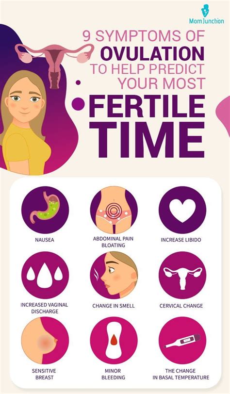 9 Symptoms Of Ovulation To Help Predict Your Most Fertile Time