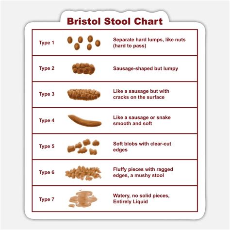 Bristol Stool Chart Za