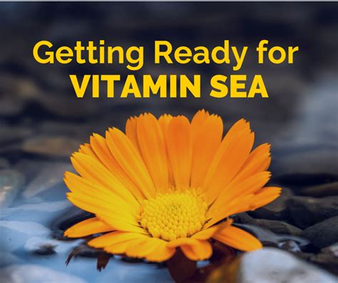 Getting Ready For Vitamin Sea This Spring C Tow Marine Assistance Ltd