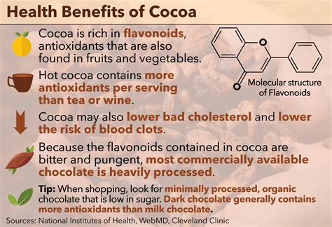 Health Benefits Of Cocoa Tommiemedia