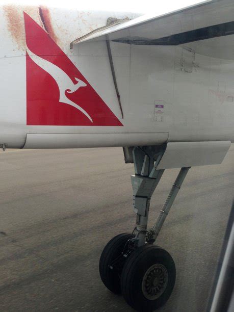 Snake On The Wing Passengers Watch Python Cling To Side Of Plane