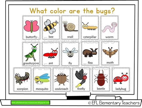 Efl Elementary Teachers Insects Unit For Elementary Esl