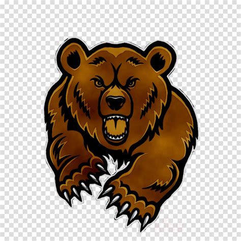 Download High Quality Bear Clipart Realistic Transparent Png Images