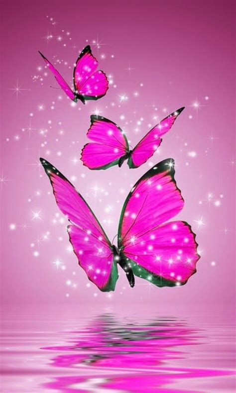 Free latest hd wallpapers for desktop pc, ipad, iphone, android phone pink and black butterfly wallpapers | Currently 2.50/5 1 2 3 4 5 | Butterfly wallpaper, Blue ...
