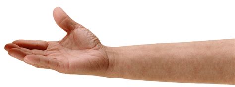Collection Of Png Hd Of Hands Pluspng