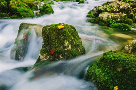 Mountain Creek Detail With Mossy Rocks And Crystal Clear Water Stock
