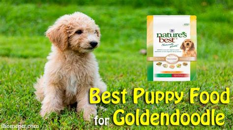 Best puppy food reviews 2020. Best Puppy Food for Goldendoodle: TOP 5 Reviews