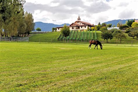 This truly spectacular equestrian estate has been newly constructed to