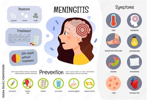 Vector Medical Poster Meningitis Symptoms Of The Disease Prevention