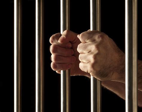 Collateral Consequences Of A Criminal Conviction In Michigan What You Need To Know Triton