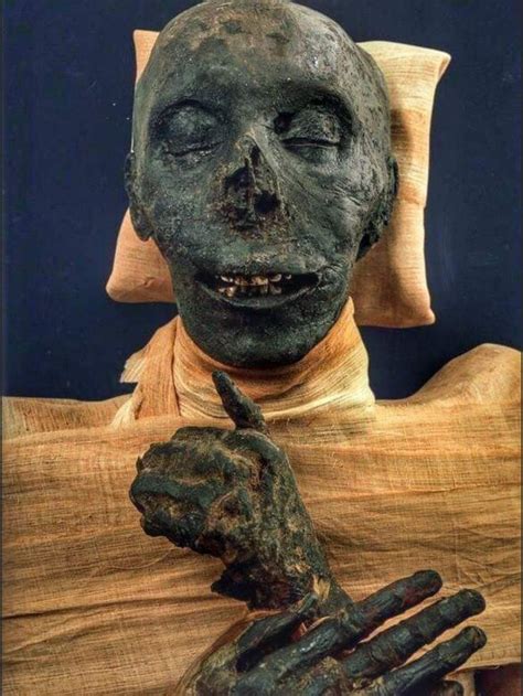 Pin By Augusto ♛ On Oddities Egypt Mummy Egyptian Mummies Egyptian Art