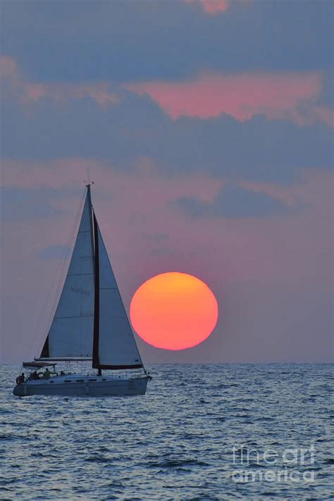 Sailboat At Sunset Photograph By Shay Levy Fine Art America