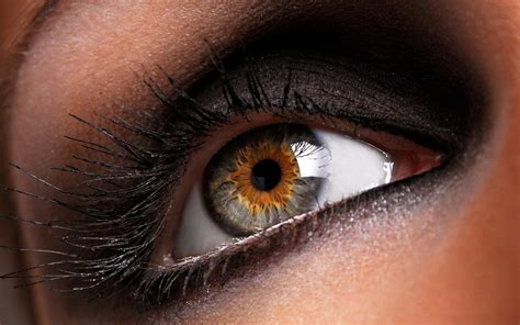 Close Up Brown Eyes Macro Eye Wallpaper 2560x1600 338233 Wallpaperup